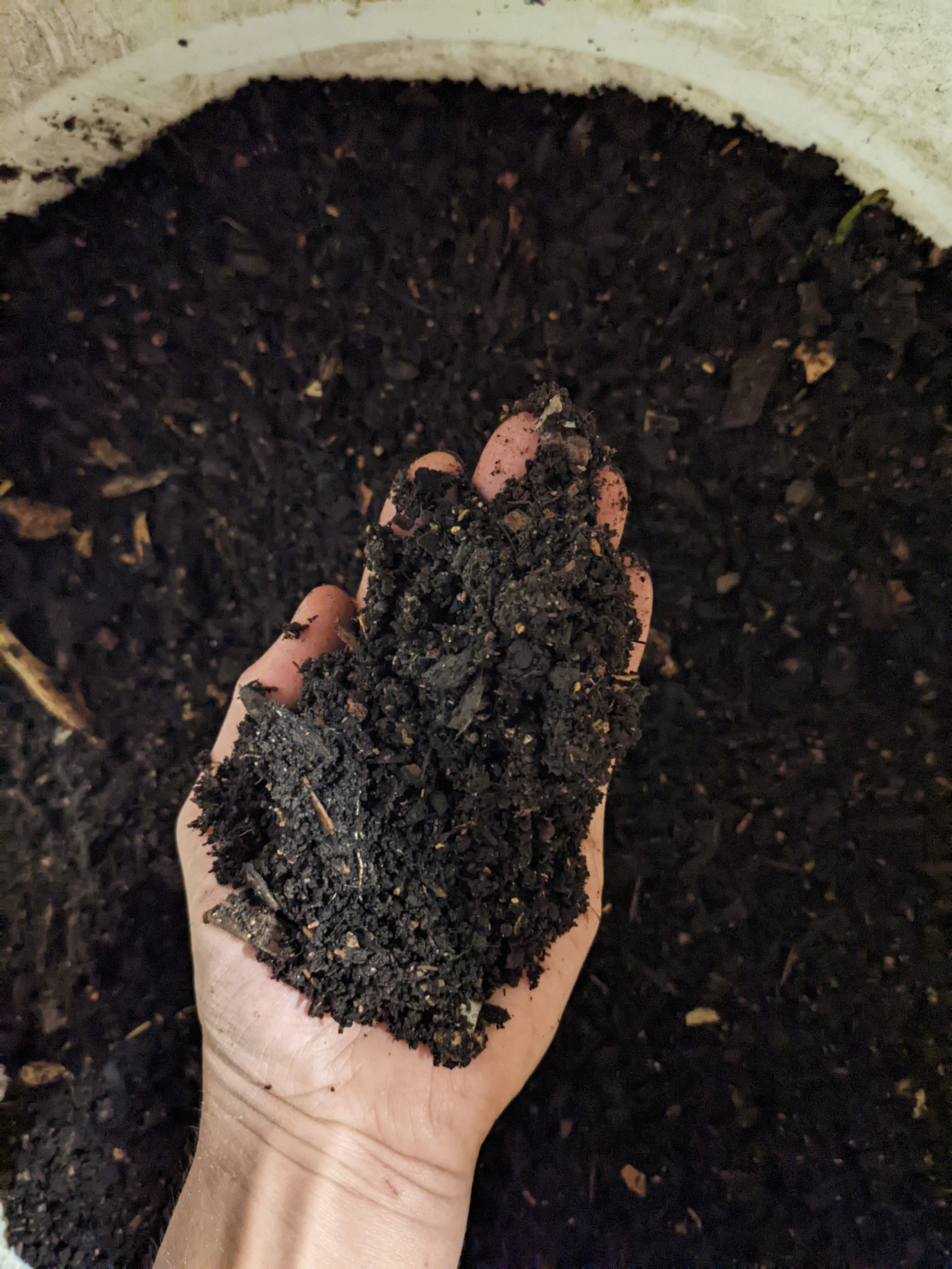 (worm castings) PHANTOM HILL FARM. Shiitake mushroom and